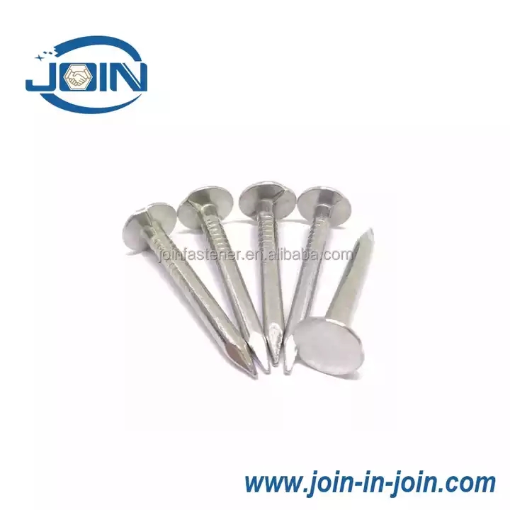 All Size Fasteners JOIN Electro Galvanized Clout nail with Cheaper Price for Construction